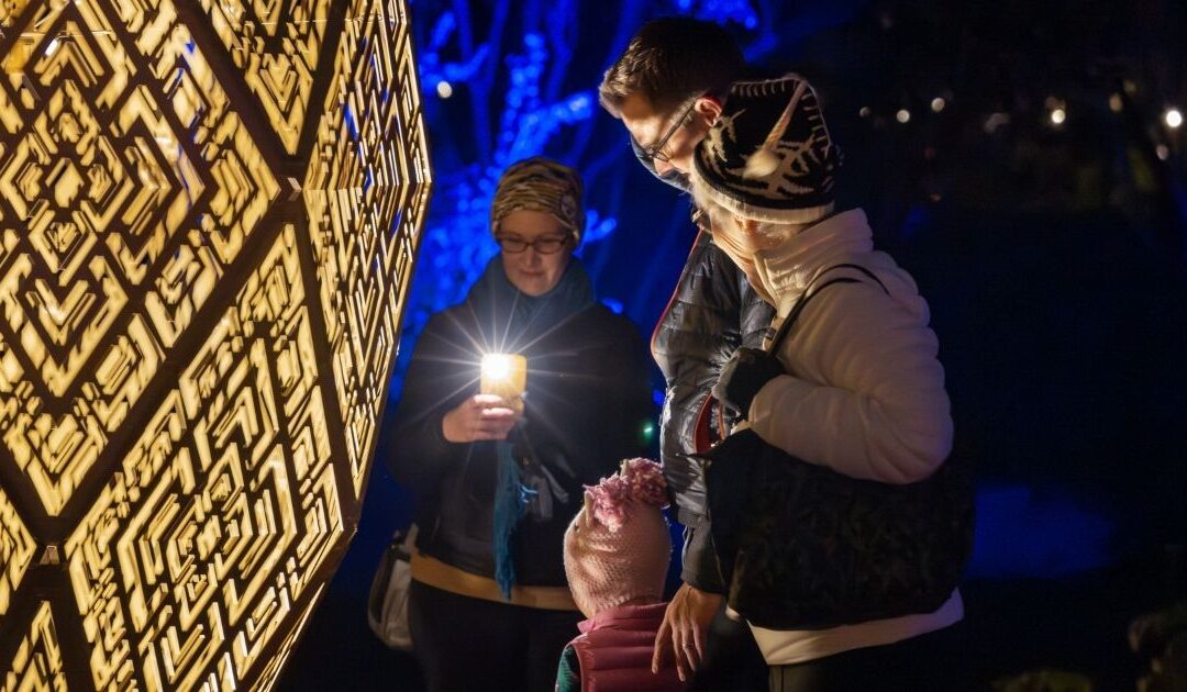 New ‘ENLIGHTEN’ Holiday Light Experience Kicking Off at Frederik Meijer Gardens