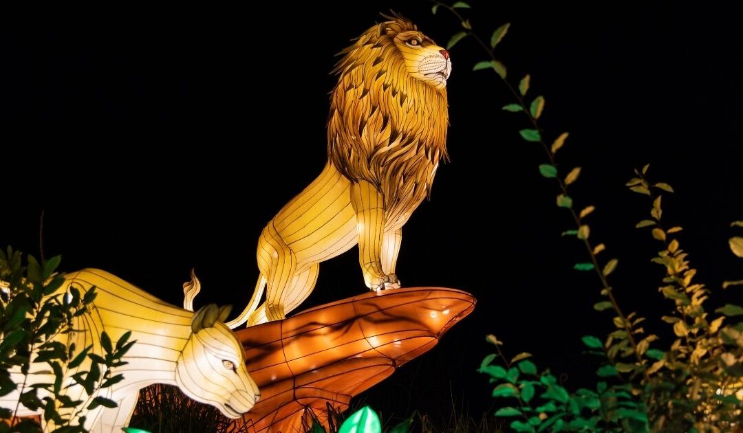 Grand Rapids Lantern Festival Returning to John Ball Zoo!
