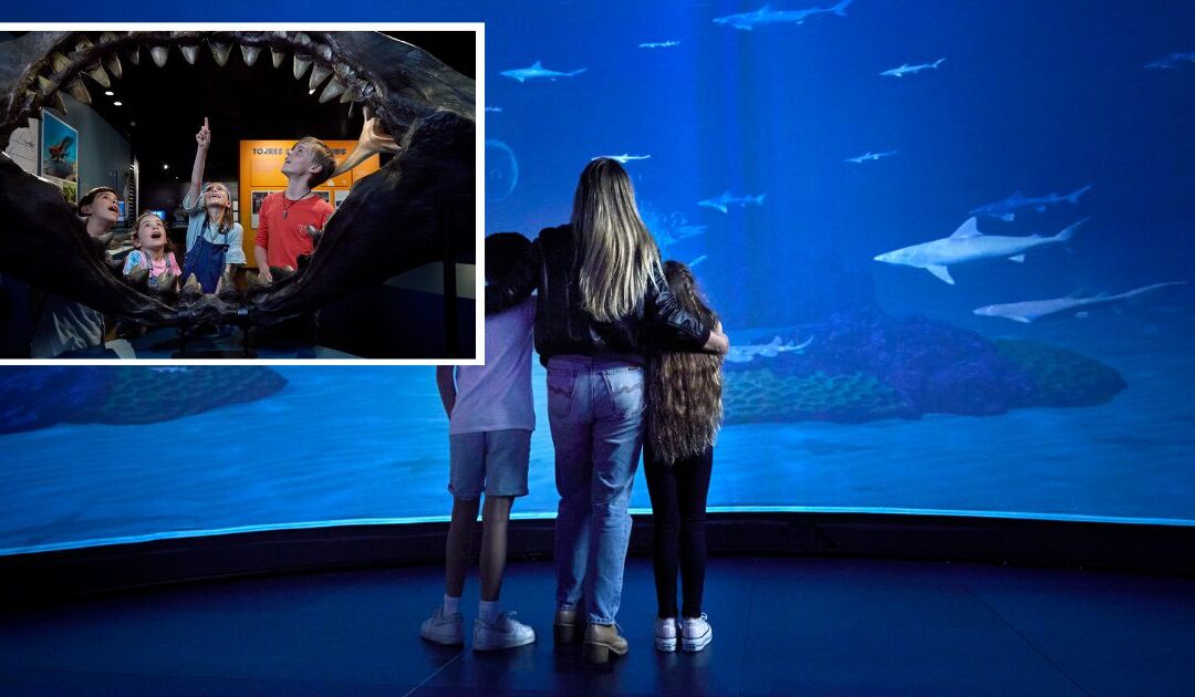 Dive Into Summer Fun at the Grand Rapids Public Museum