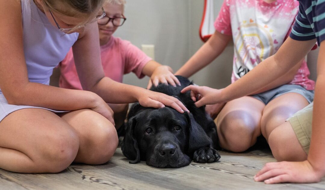 Sit, Stay, Save the Day: How Dogs Show Up When It Matters Most