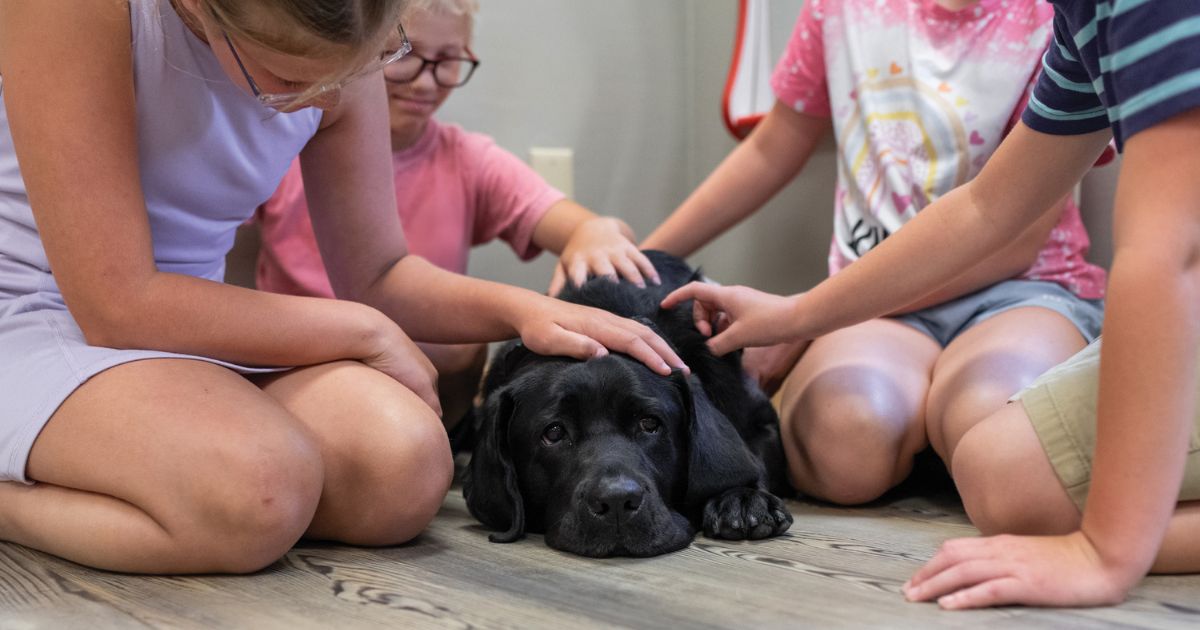 Sit, Stay, Save the Day: How Dogs Show Up When It Matters Most