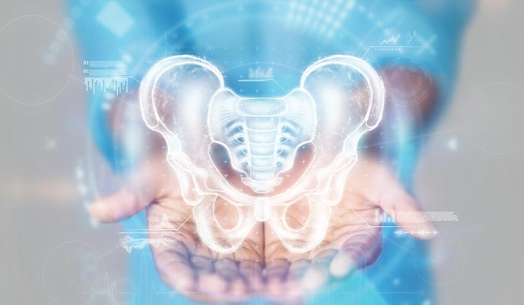 The Overlooked Ailment: What You Need to Know About Pelvis Wellness