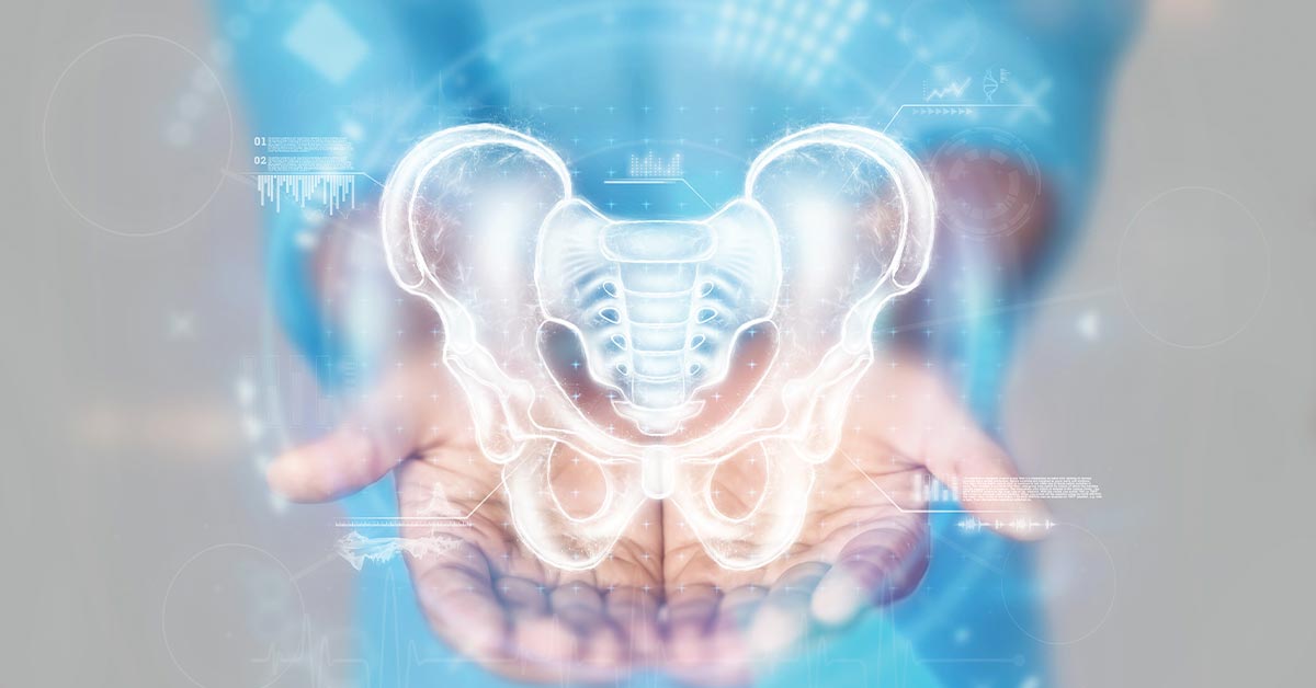 pelvic wellness pelvic wellness