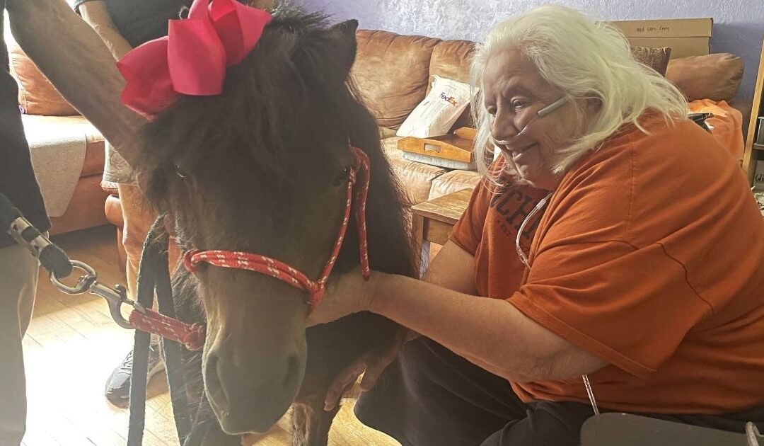 Bringing Joy to the Doorstep with Patient Wishes