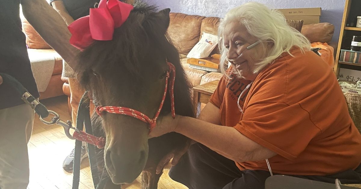 patient wishes hospice patient wishes hospice