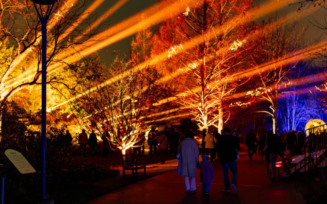 ‘ENLIGHTEN at Meijer Gardens’ Holiday Light Spectacle Returns