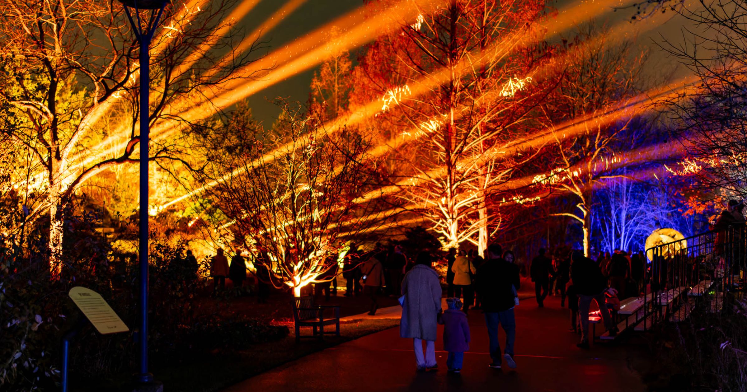 ENLIGHTEN at Meijer Gardens