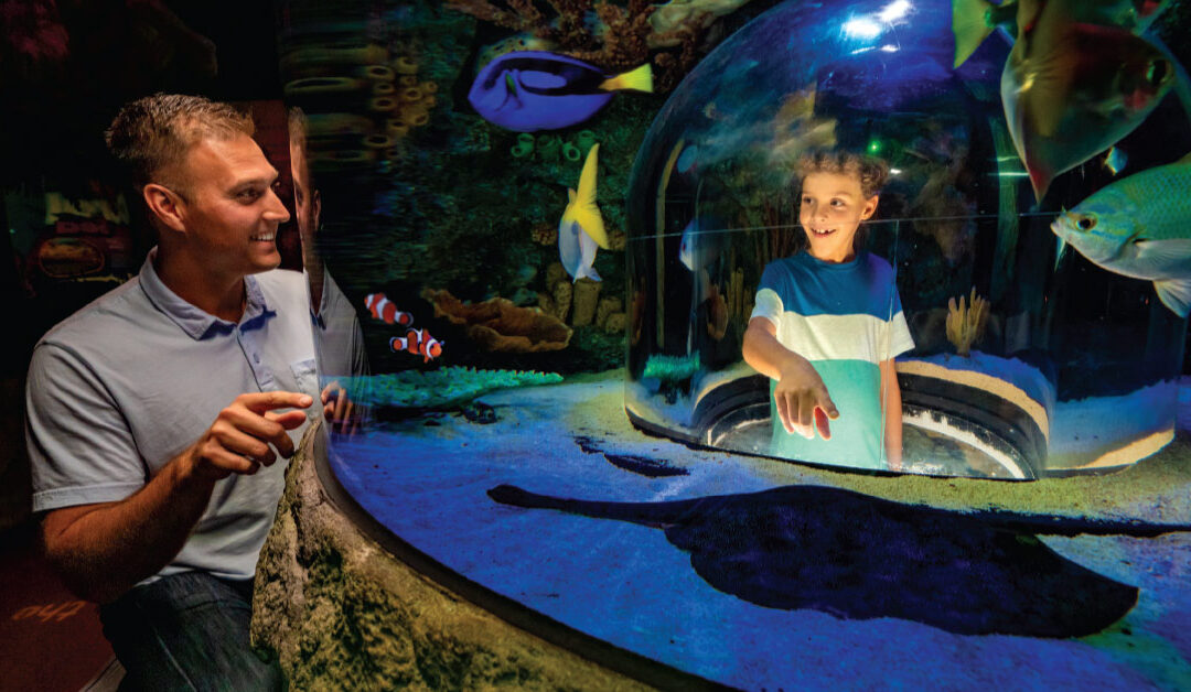 Family Travel: Attractions and Activities That Bond and Build Memories