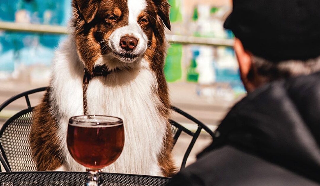 West Michigan Brewery Guide 2025