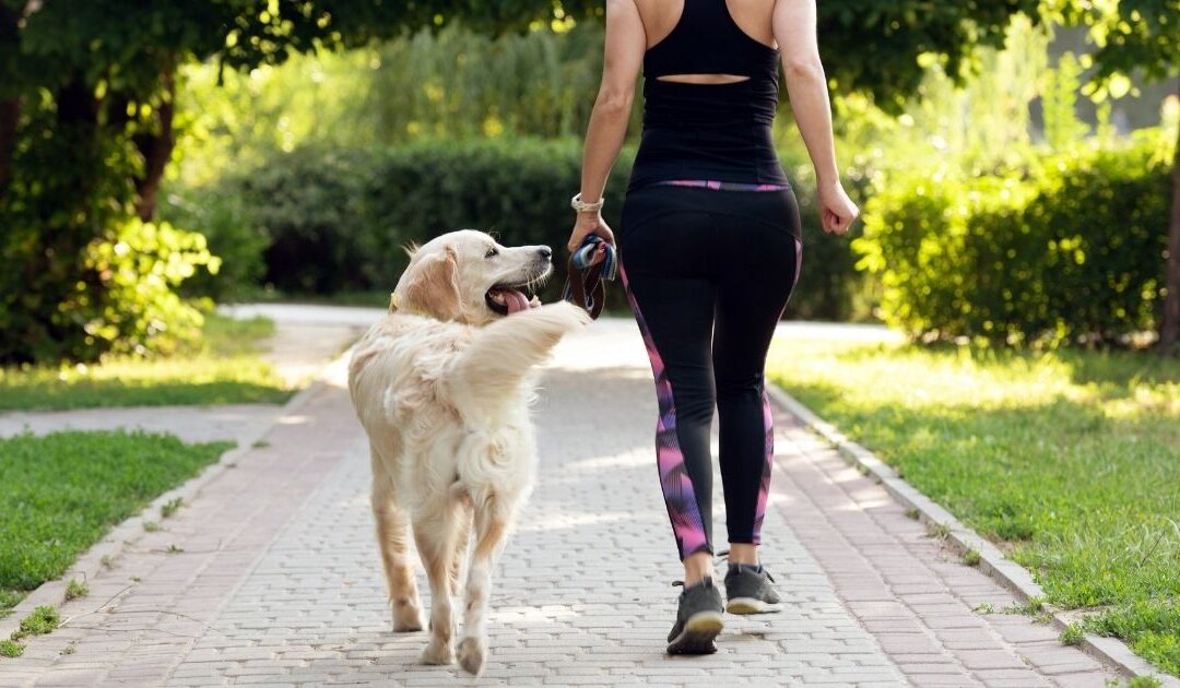 Taking the Annual ‘Spring Forward’ Shift in Stride