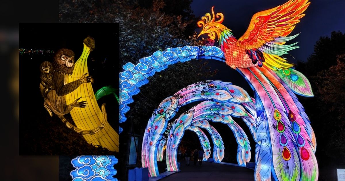 Grand Rapids Lantern Festival 2026