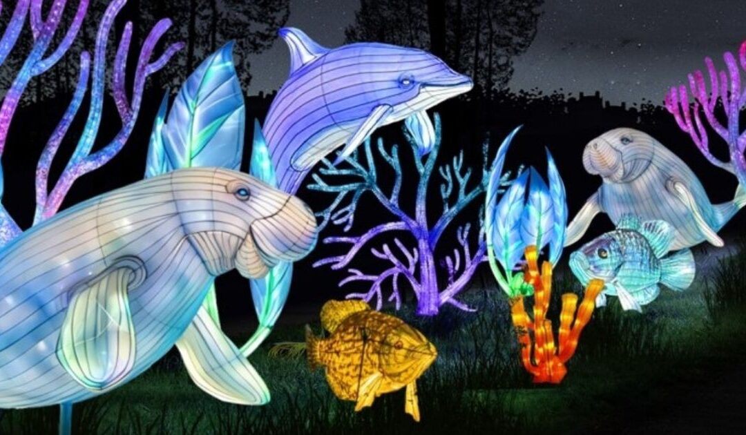 A Glowing Experience You Can’t Miss: Grand Rapids Lantern Festival Returns for Fourth Year