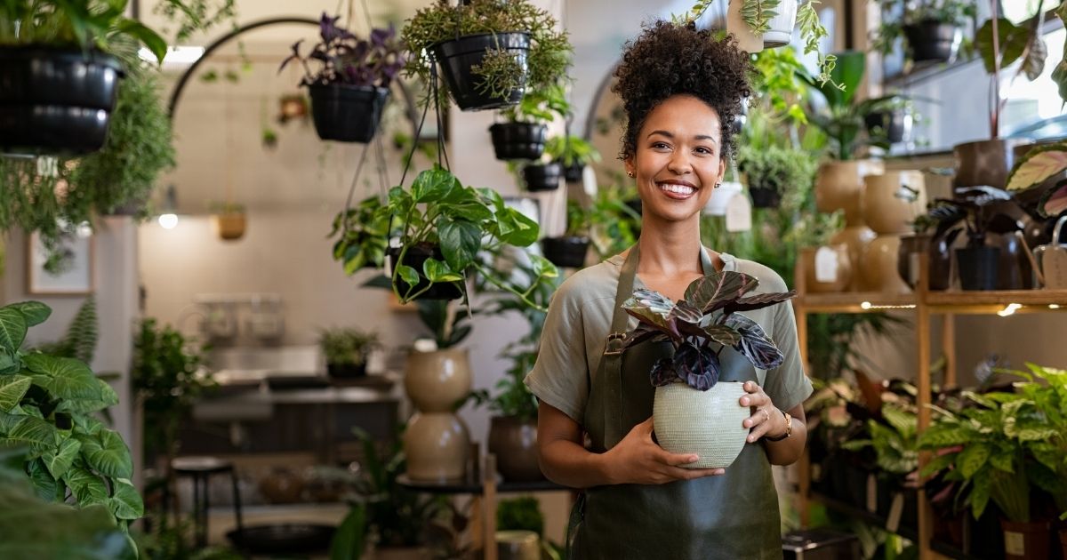 small business support