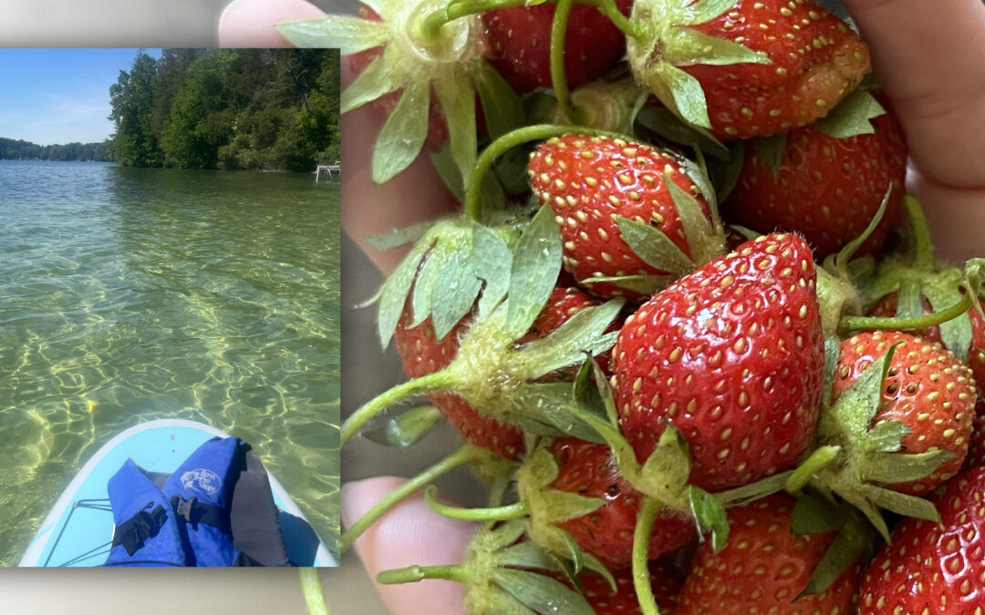 Bringing Back Whimsy: Summer Edition