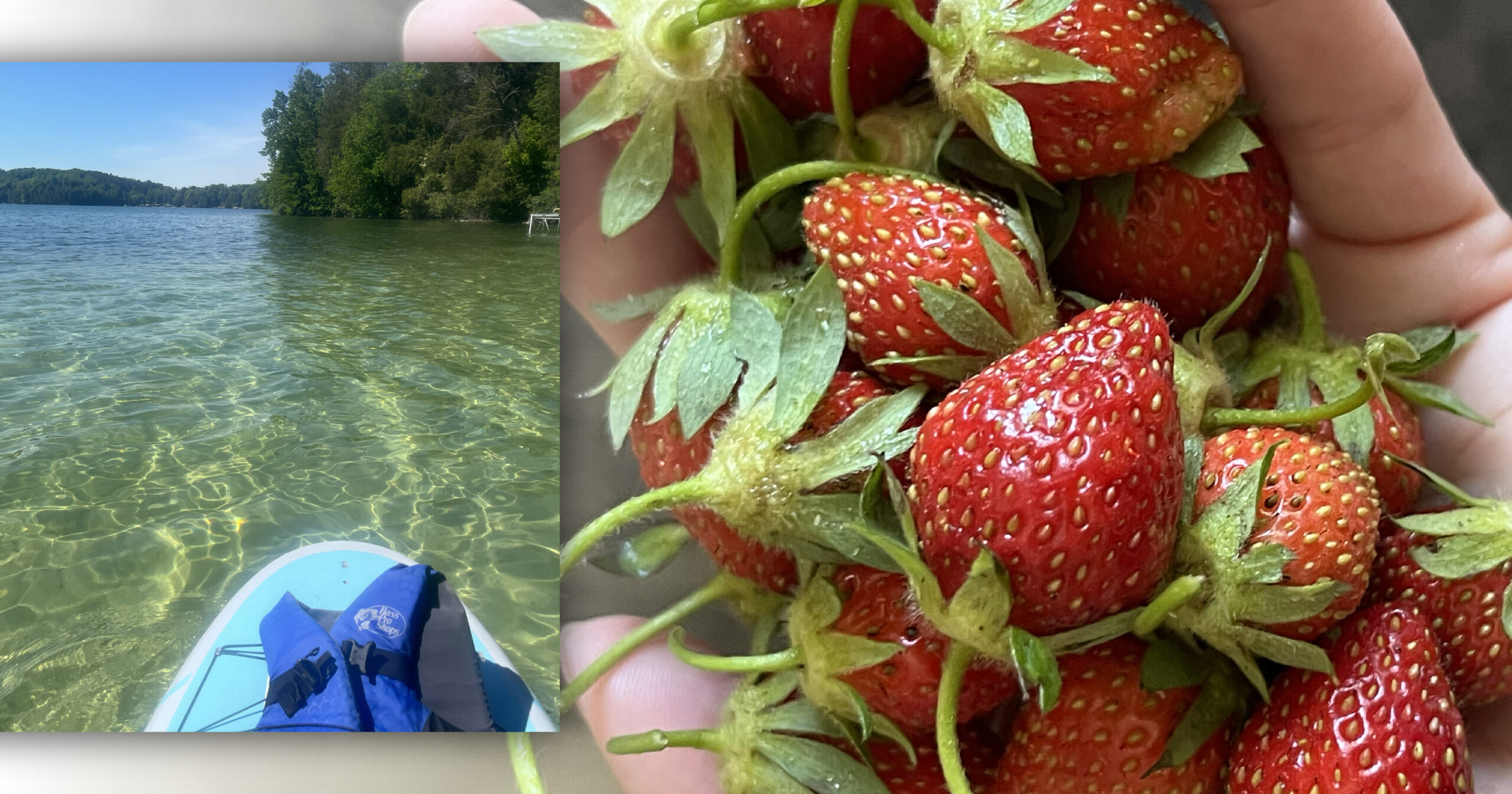 summer whimsy