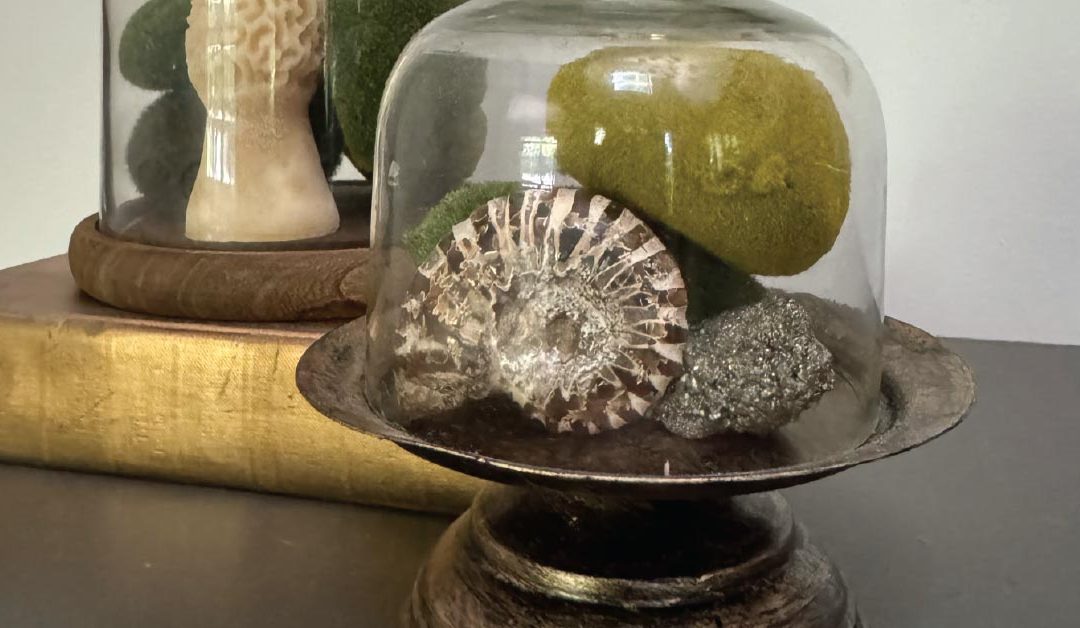 Bringing the Outside In: Incorporating Natural Elements into Your Fall Decor