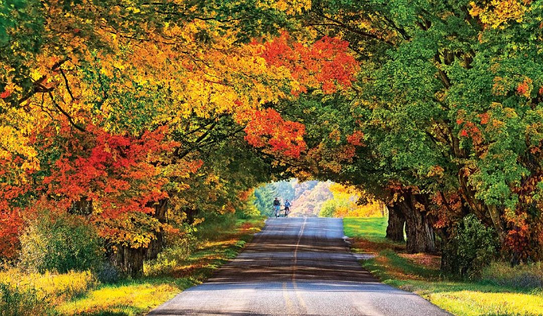 Top Day Trippin’ Picks for a Perfect Saturday