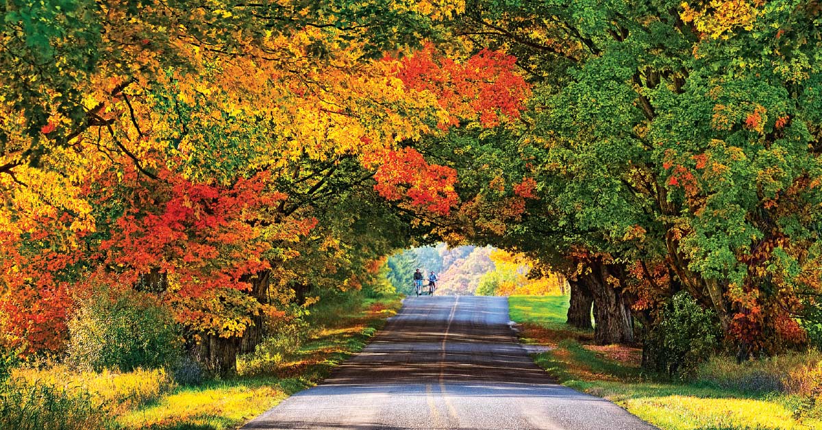 WMW-Fall26-Travel