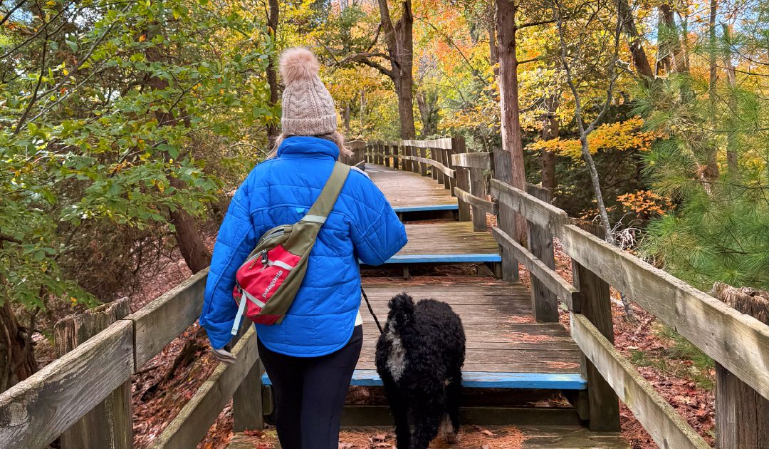 Stay a Little Longer: Five Ludington Stays Made for a Fall Getaway